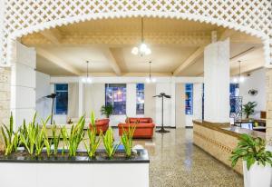 Hotel Dorado Plaza Centro Histórico