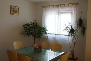 Apartman Dominik