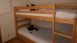 VAUJANYLOCATIONS - Claret II Studio 3