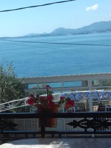 Summer Dreams Luxury Apartment Corfu Greece