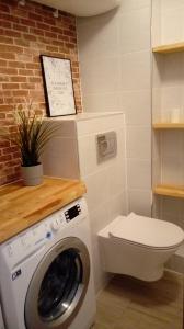 Urocze studio z klimatem w centrum Legnicy