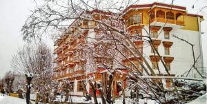 Hotel Grand Himalaya