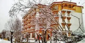 Hotel Grand Himalaya - 列城