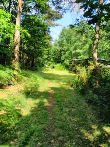 Campings Camping Bois de St Hilaire : photos des chambres