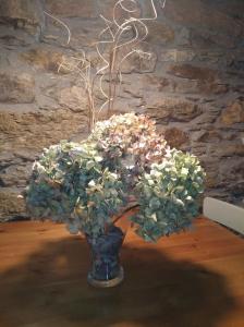 La Cabana´l Cachican