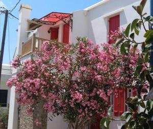 Central Tinos Island Maisonette Tinos Greece