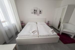 Rezidence Černý medvěd