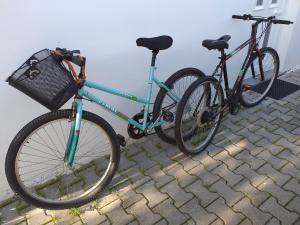 Apartment in a House