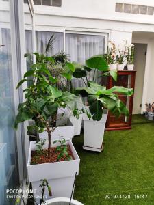 Maisons d'hotes O 3 parasols : photos des chambres