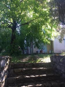 Maisons de vacances Villa Le Niaouli : photos des chambres