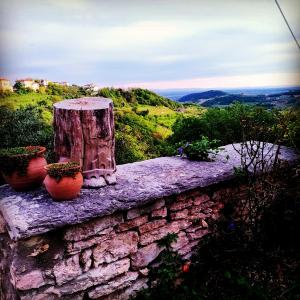 Antica Corte Panego
