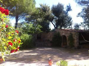 Maisons de vacances Villa Le Niaouli : photos des chambres