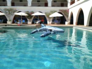 Hotel Hacienda Bugambilias