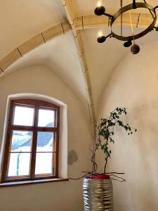 Large Deluxe Double Room  room in Rathauskeller Melk