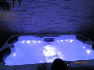 GITE IZALIN AVEC SPA A 20 min du Puy du Fou