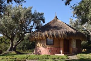 Chalets Suite Familiares