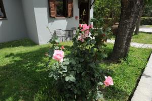 Castle View Bungalows Lakonia Greece