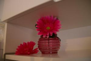 Charming Apartments Ana