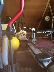 Ferienhaus-fuer-die-Grossfamilie-oder-Gruppenhaus-auf-dem-Ferien-und-Bauernhof-Nielson-in-Inselmitte