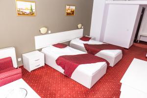 Twin Room room in Hotel Miraj