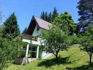 Green Paradise - 维索科