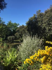 Les Jardins dHoli appartement proche Uzès