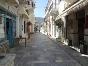 Korthi central appartment by the seaside. Andros Greece