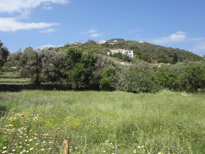 House in the grass land. Andros Greece