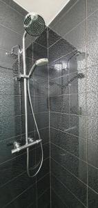 Apartment Alpska Astra 