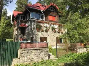 Apartamentul Ursilor - Предял