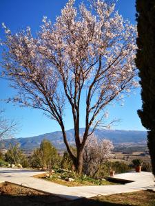 Appart'hotels La Bastide du Limon : photos des chambres