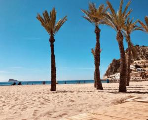 Luxuriöses Apartment in Benidorm mit Pool