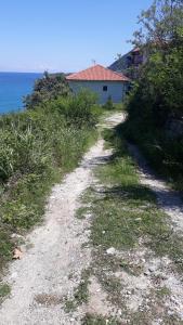 Uranous Blue Luxury Villa Agios Ioannis Papa Nero Pelion Greece