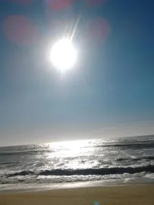 Farol Nascente - Aveleda