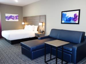 1 King Bed, Deluxe Mobility/Hearing Accessible Room, Roll-In Shower, Non-Smoking room in La Quinta by Wyndham San Antonio Alamo City