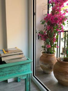 Apartamento Puerta Carmona