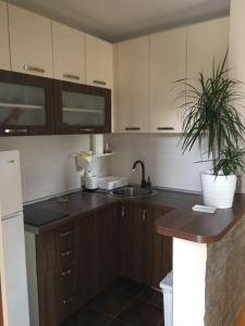 Zlatibor Apartman Pantic