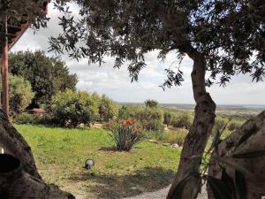 Residenza Belvedere img31