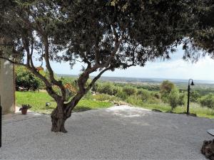 Residenza Belvedere img32