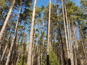 Apartament jednopoziomowy - Pogorzelica