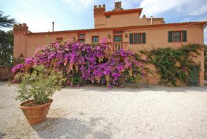 Fattoria di Casalappi img66