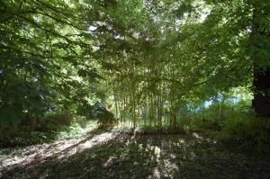 Maisons de vacances Gite du chateau : photos des chambres