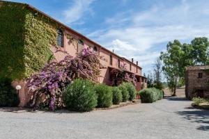 Fattoria di Casalappi img62
