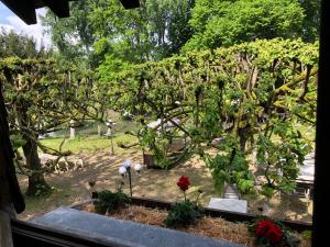 B&B / Chambres d'hotes Le Moulin d'Ande : photos des chambres