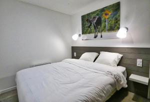 Appart'hotels Domaine Le Sherwood : photos des chambres