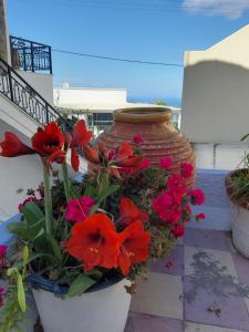 Katerina Kafieri Apartments Santorini Greece