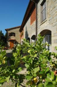 3 rooms flat in a green Tuscany valley