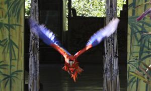 Chosa Manglar Suites & Cabins