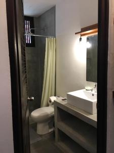 Tortuguero Casa Pelican