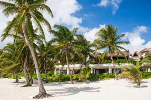 Carretera Tulum-Boca Paila KM 7, Zona Hotelera, 77780 Cancún, Mexico.